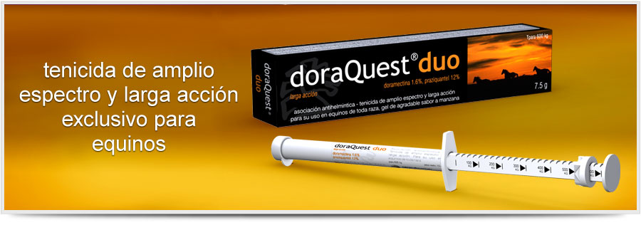 doraQuest Duo
